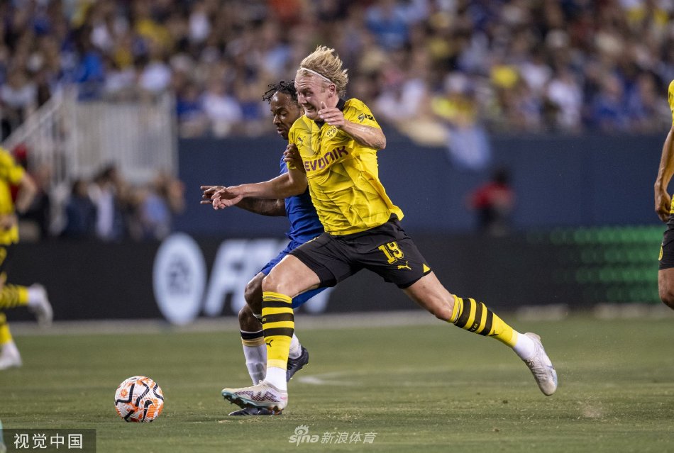 塞鸟的表现 塞鸟的表现